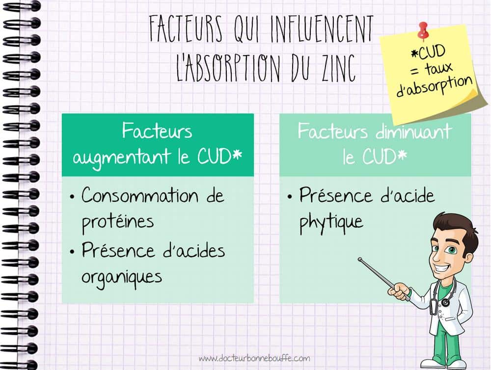Le zinc pour les nuls! Cours de diététique 20