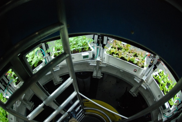 nasa cultiver des salades dans l'espace