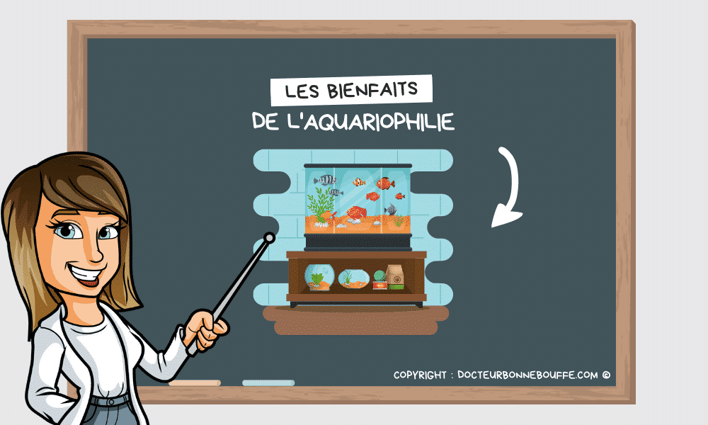 bienfaits aquarium