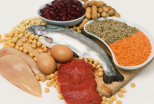 L'importance des protéines dans notre alimentation