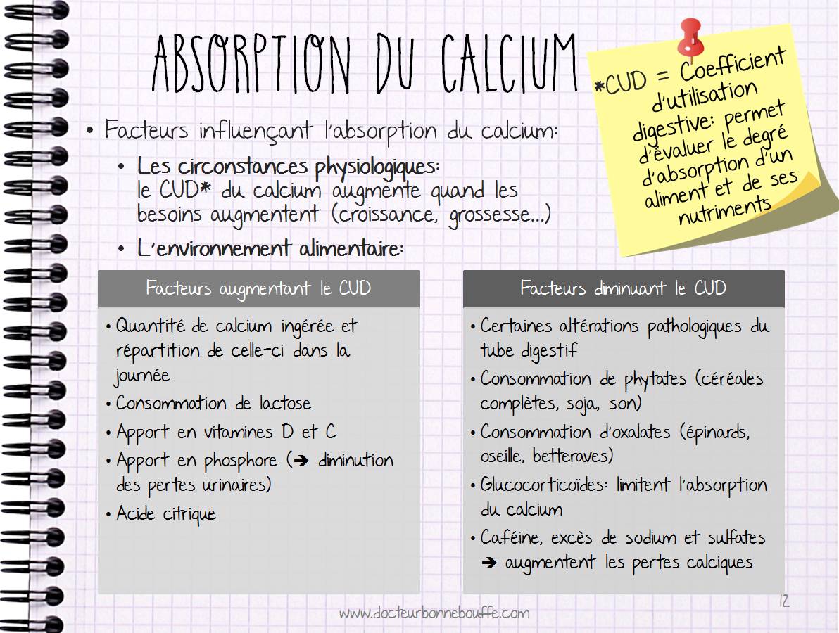 Facteurs d'absorption du calcium