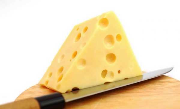 Pourquoi les Monstera ont des trous ?