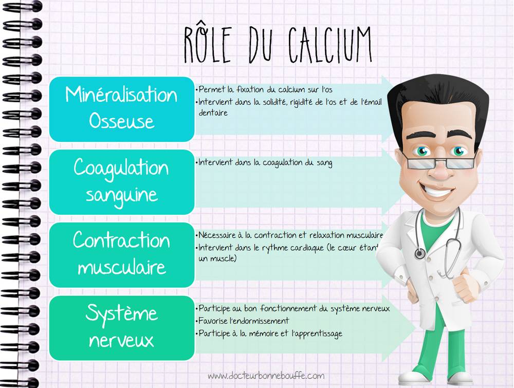 Rôle et fonctions du calcium