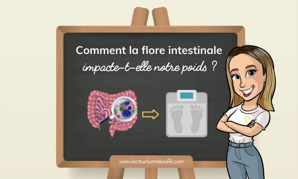 flore intestinale obésité liens