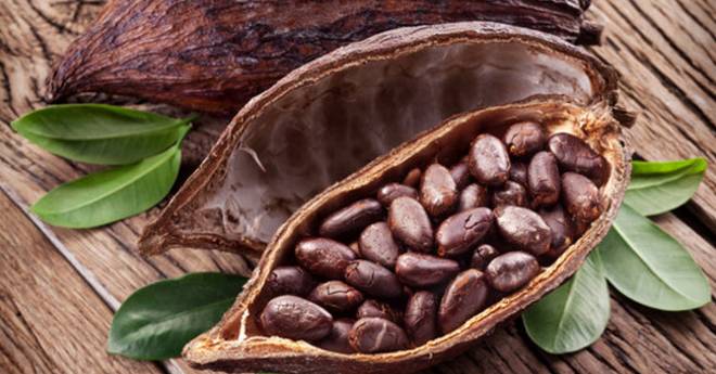 Graines de cacao bienfaits santé