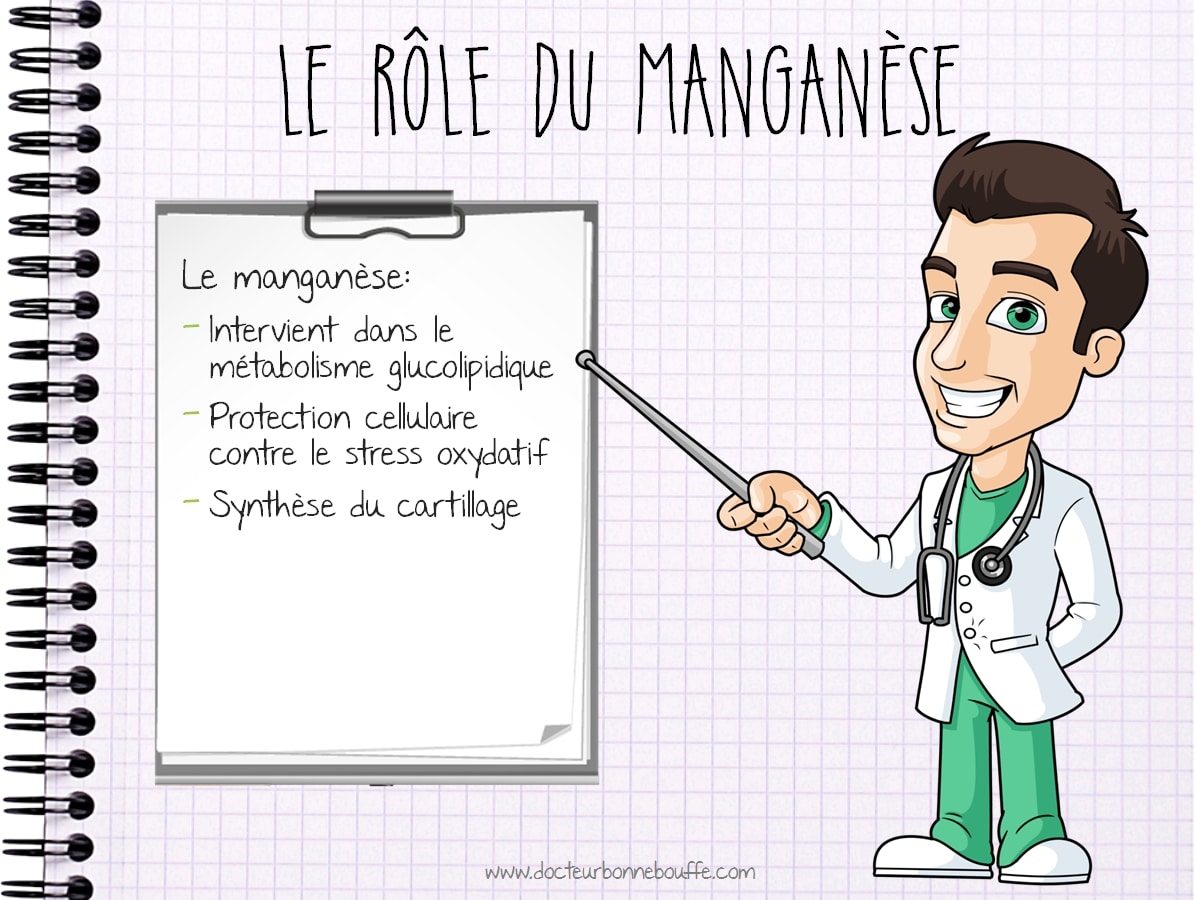 Role et fonctions du manganèse