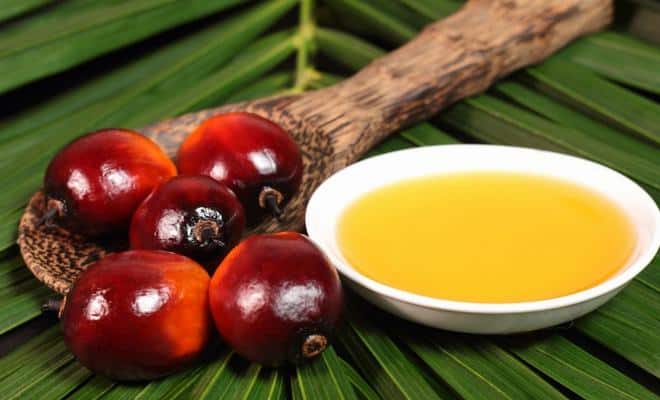 fruits huile de palme