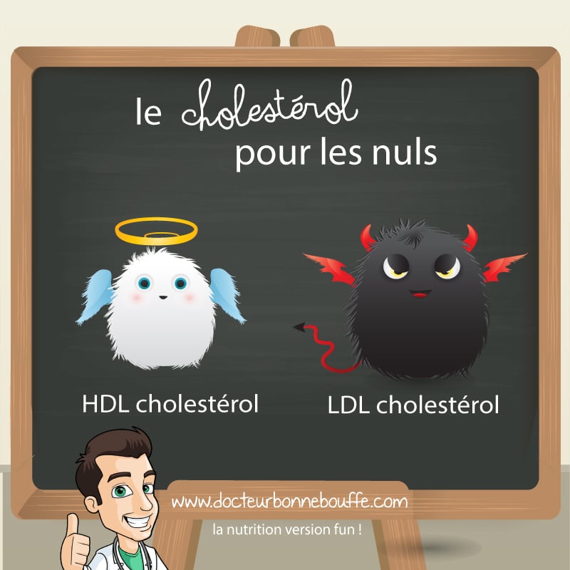 Différence cholestérol LDL et cholestérol HDL