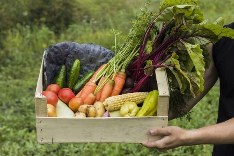 fruits et légumes locaux
