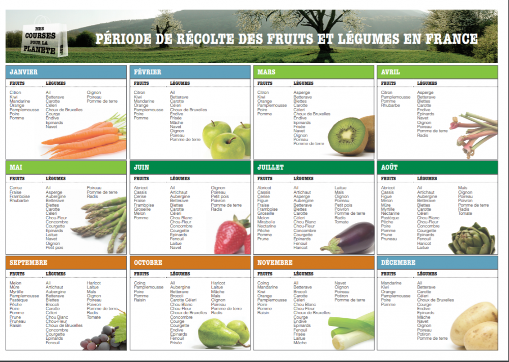 Calendrier fruits et légumes de saison