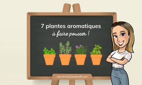 plantes aromatiques cuisine