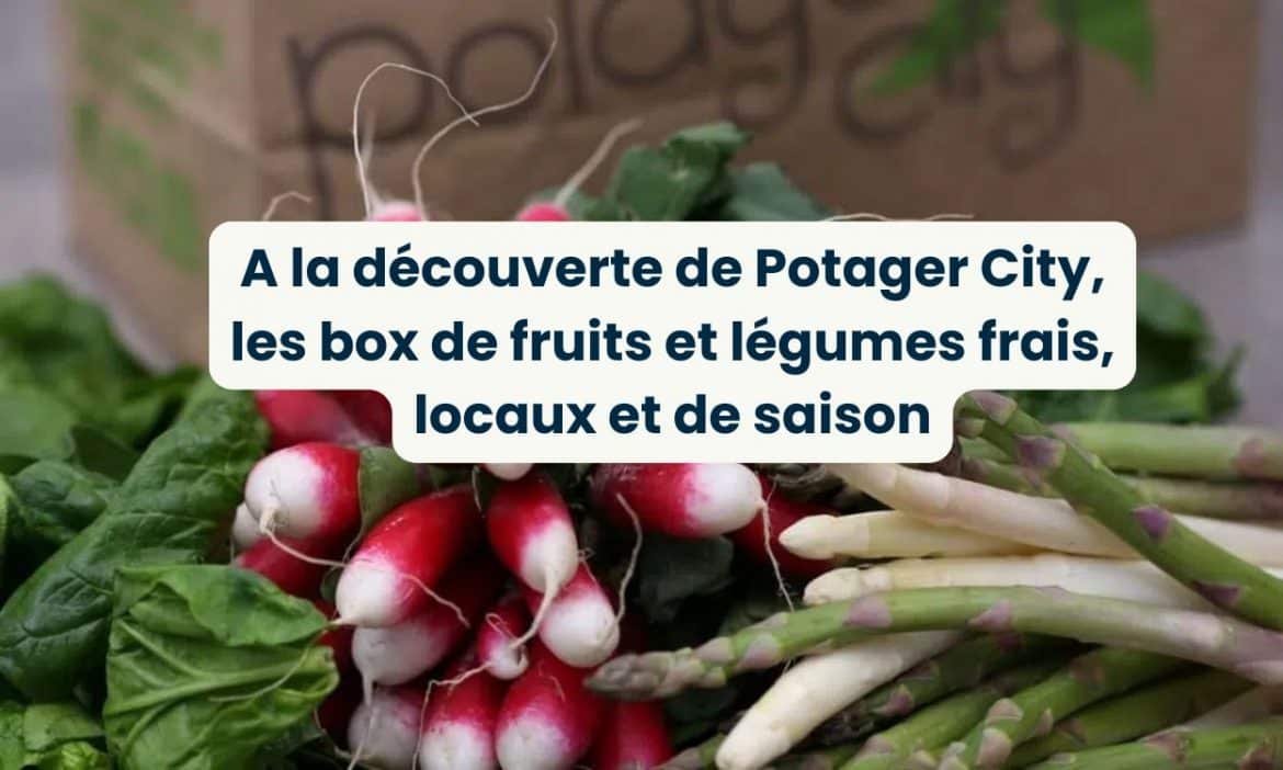 potager city découverte paniers de fruits et légumes locaux