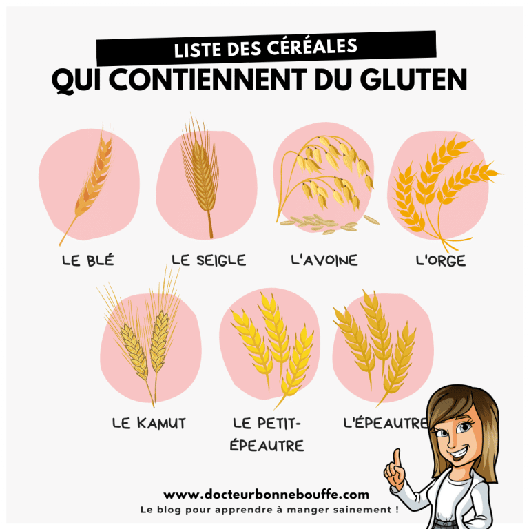 Le gluten pour les nuls présentation d’une protéine pas comme les autres Le gluten pour les nuls présentation d’une protéine pas comme les autres