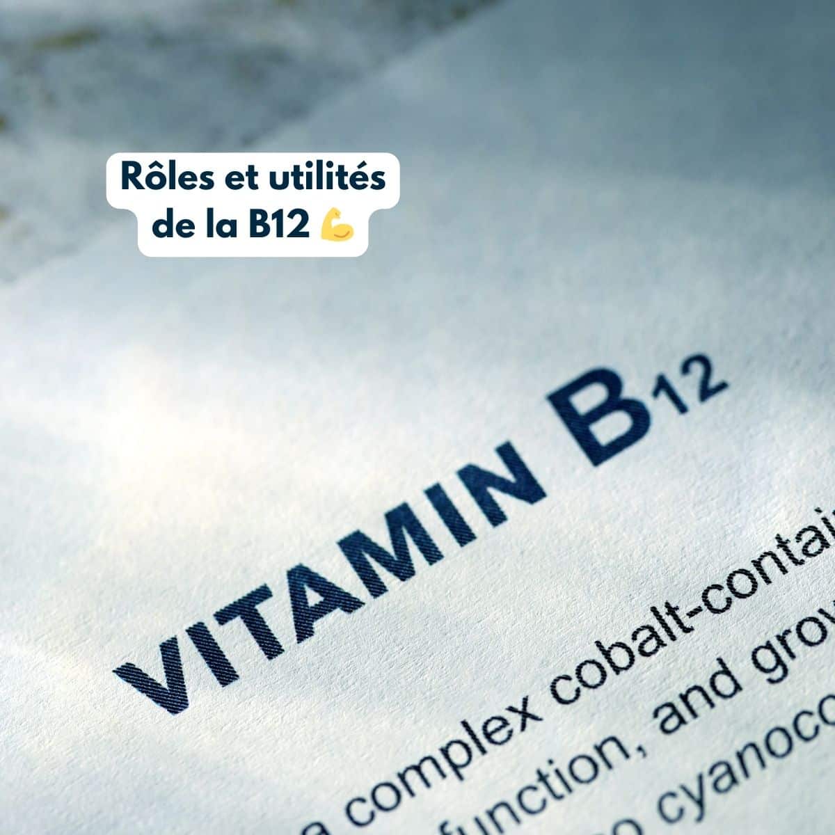 vitamine B12 fonctions