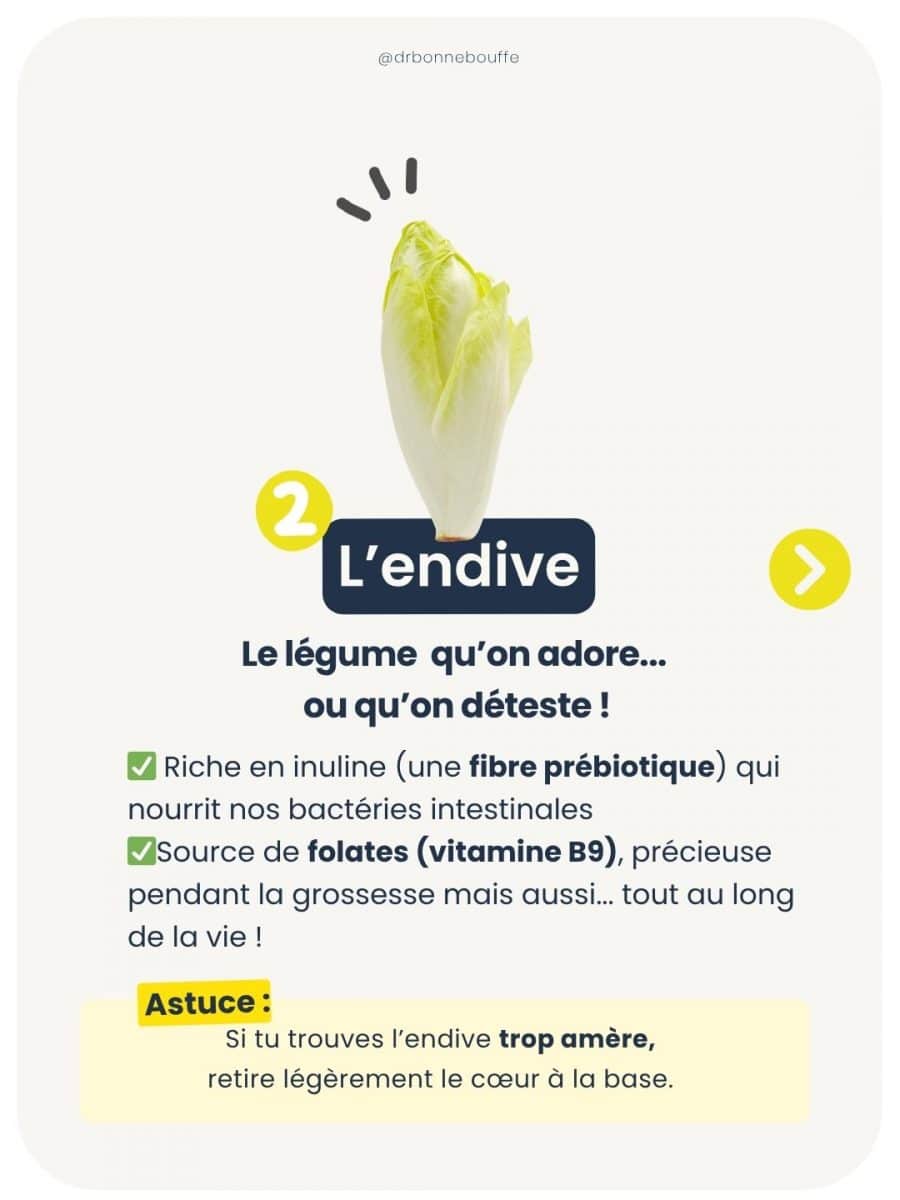 Endive de saison en avril riche en fibres prébiotiques et bénéfique pour le microbiote intestinal