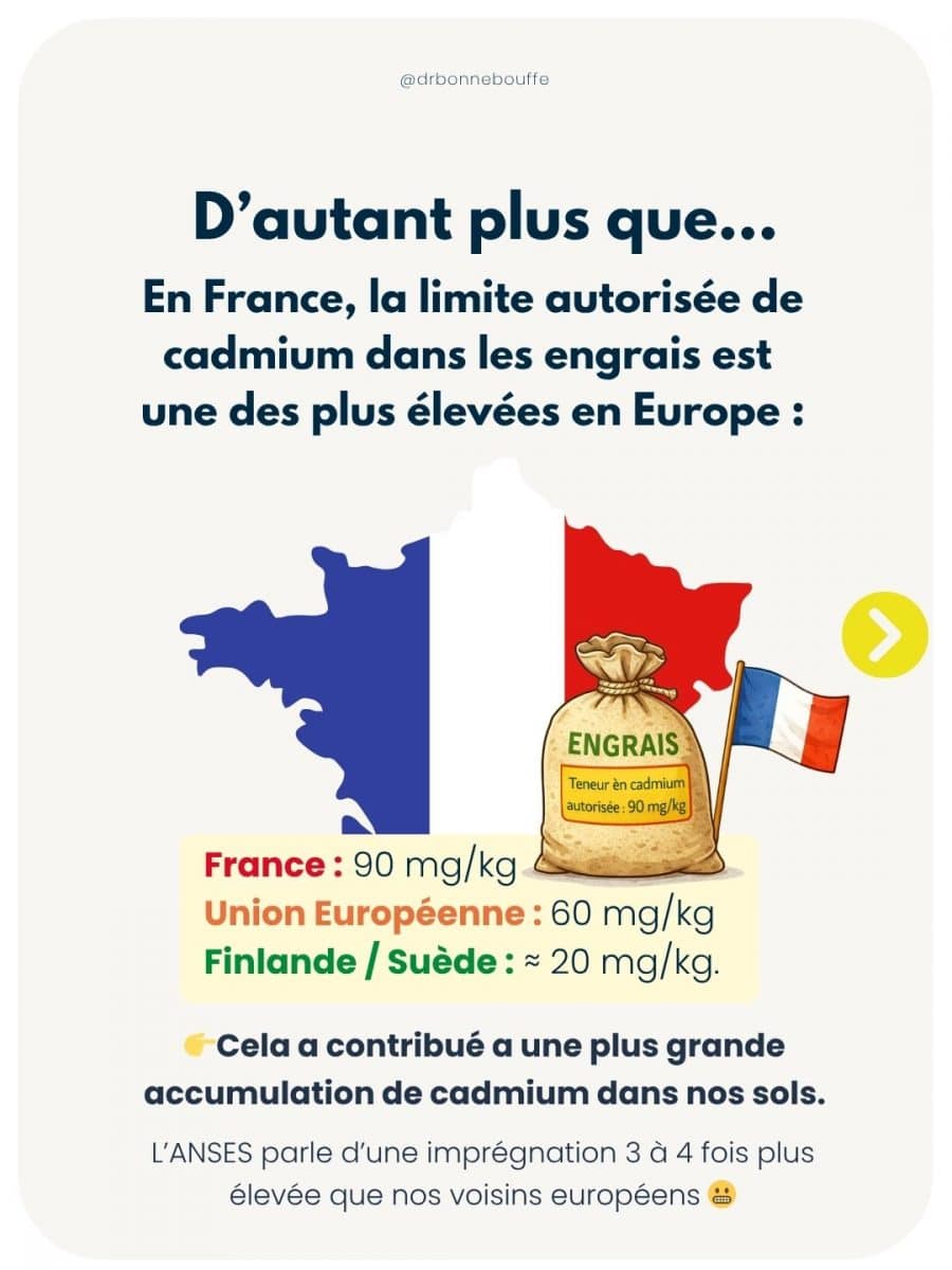 Cadmium France engrais limites plus élevées Europe ANSES