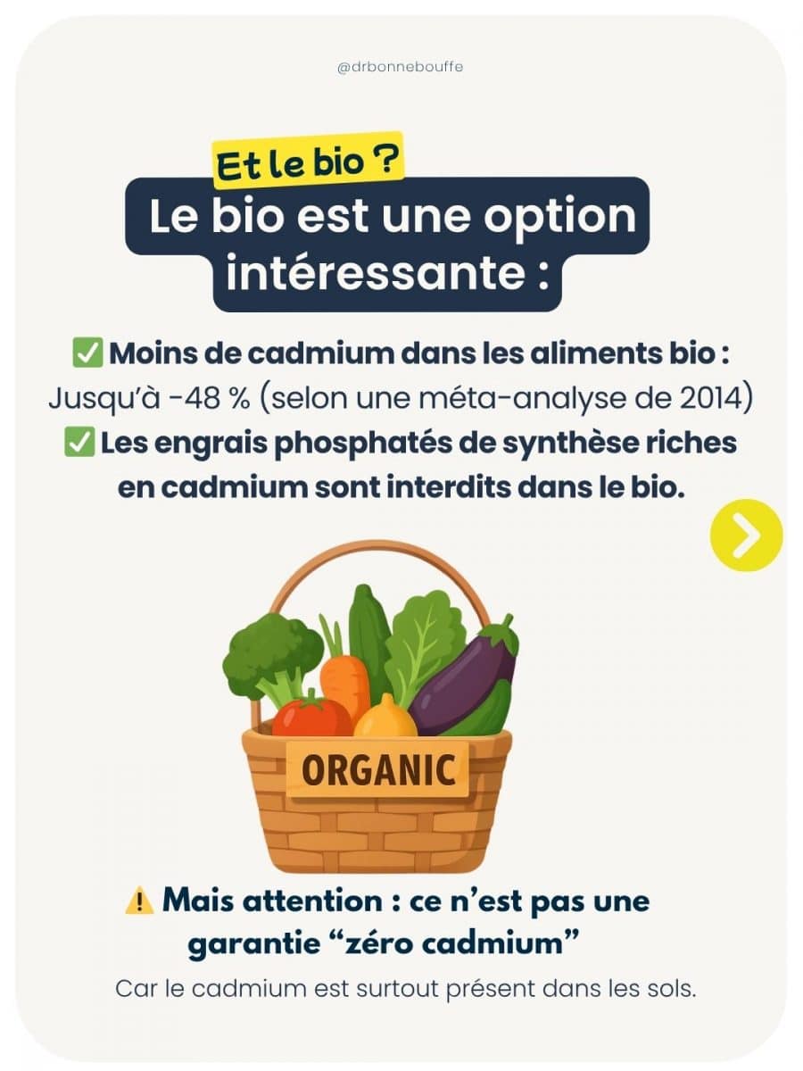 Cadmium alimentation bio moins contaminée engrais interdits