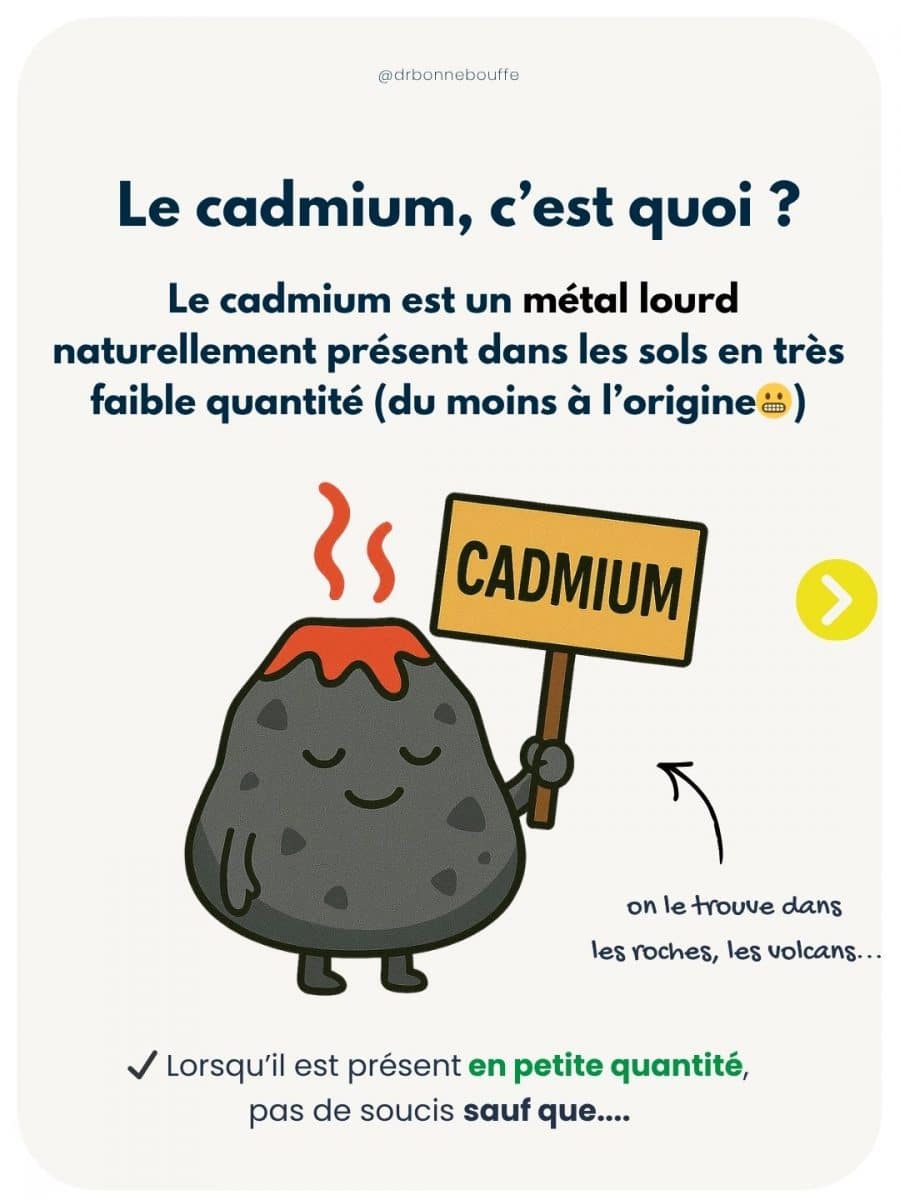 Cadmium définition métal lourd présent dans les sols et alimentation