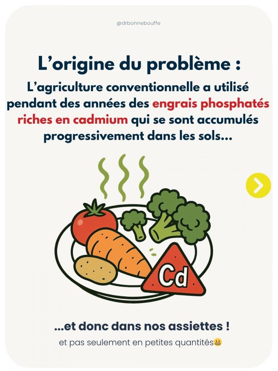 Origine cadmium agriculture engrais phosphatés accumulation sols