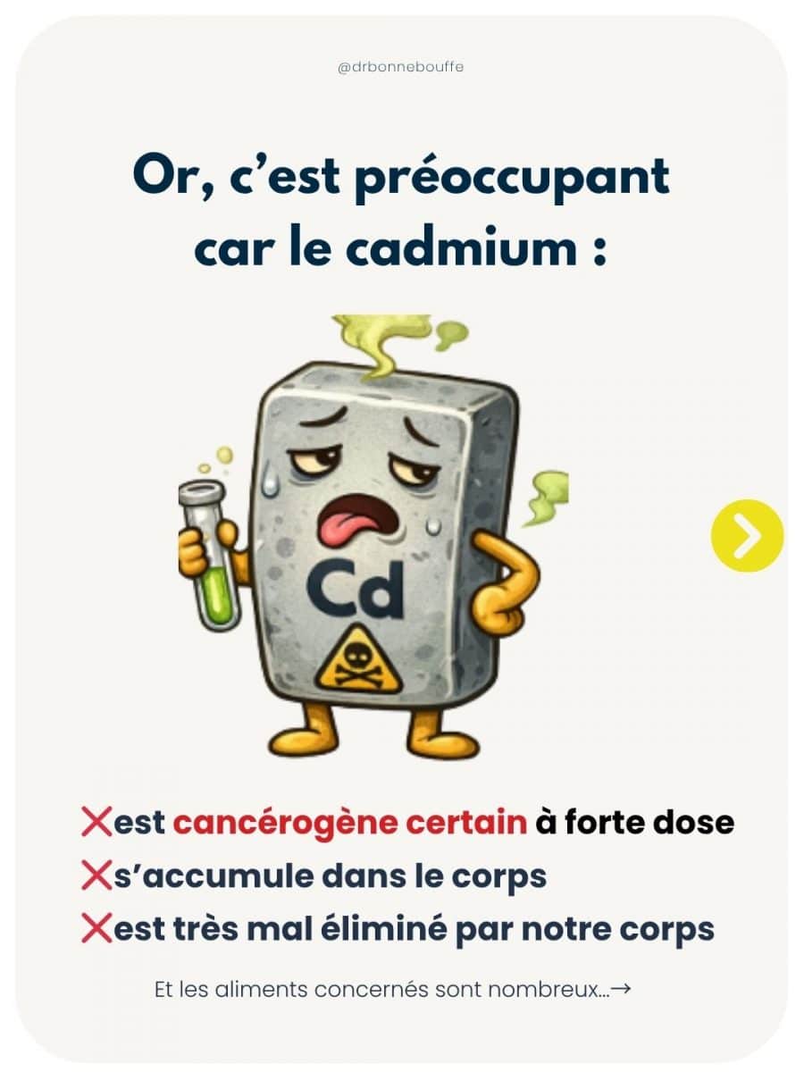 Cadmium dangers santé cancérogène accumulation organisme
