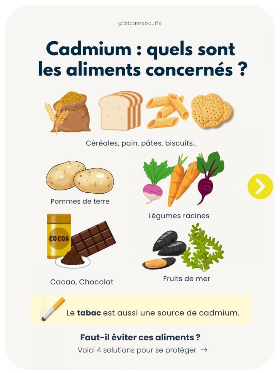 Cadmium liste aliments concernés céréales légumes racines chocolat fruits de mer
