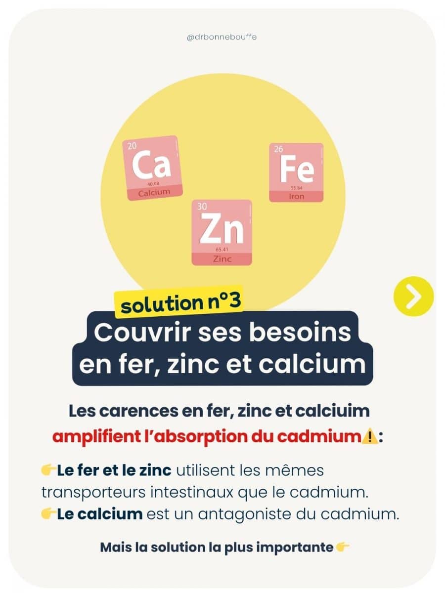 Fer zinc calcium interaction cadmium absorption intestinale