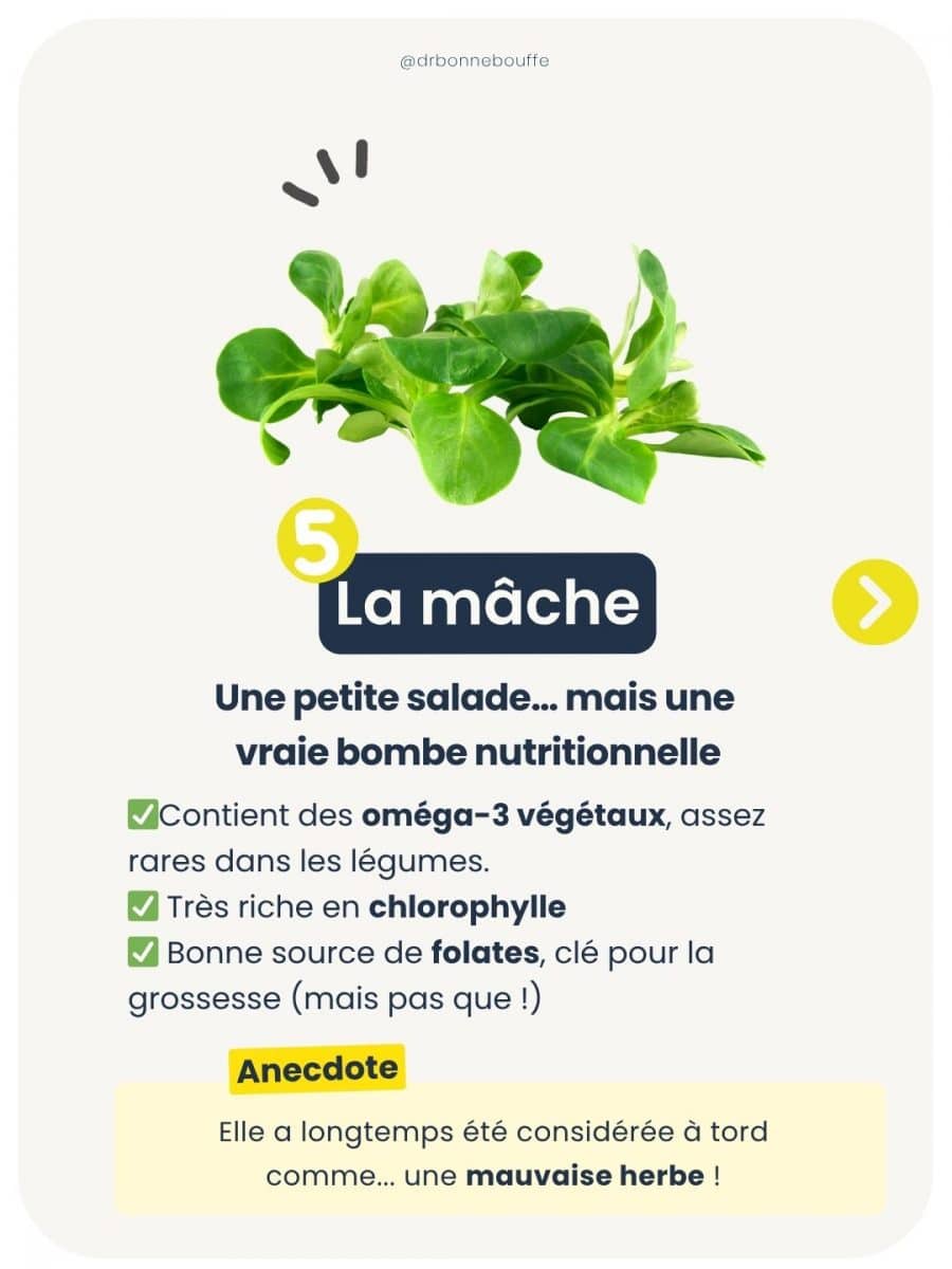 Mâche de saison en avril riche en oméga 3 végétaux et en bêta carotène